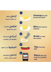 KRAFT CHEDAR BLOCKS SP OF 2X250GM