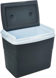 Cosmoplast Keep Cold Plastic Picnic Cooler Icebox Lunchbox 20 Liters Grey