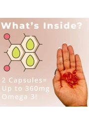 Sea Buckthorn Seed Oil, Made With Organic Sea Buckthorn, 60-Softgels