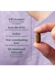 New Chapter Postnatal Vitamins Lactation Supplement Complete Multivitamin with Fermented Vitamin D3 B Vitamins Made with Organic Vegetables Herbs NonGMO Ingredients 96 Count