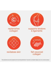 YoutheoryMarine Collagen 2500 mg Hydrolyzed Collagen Supports Skin FishSourced Collagen with Vitamin C A C E B6 B12 More Highly Digestible and Absorbable 290 Tablets