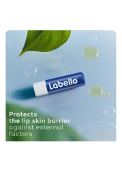 Labello Original 24 Hour Moisture Lip Balm With Shea Butter And Natural Oils 4.8g