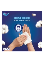 فاين كلاسيك مناديل وجه معقمة بأربع طبقات بحجم الجيب حزمة من 10