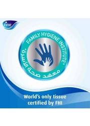 Fine Classic Sterilized Facial Tissues 2 Ply 100 Sheets 1 PCS