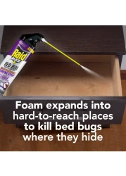 Raid Max Bed Bug Crack Crevice Extended Protection Foaming Spray Kills Bed Bugs for up to 8 weeks on Laminated Woods and Surfaces 175 oz