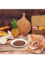 Vsell24 100Pack 9 Inch Disposable Round Foam Plates For Tableware Birthday Parties Office Home Events Camping