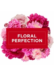 Mr. Muscle All Purpose Floral Perfection Liquid Floor Cleaner 1L