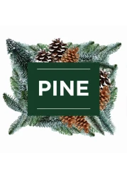 مستر ماسل سائل منظف الأرضيات متعدد الاستعمالات برائحة الصنوبر 1 لتر