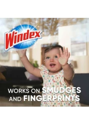 Windex Glass Cleaner Trigger Bottle Jasmine 750ml