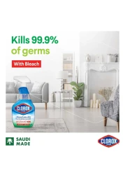 كلوركس بخاخ منظف متعدد الاستعمالات مع مبيض، 750 مل