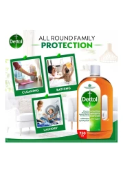 Dettol Anti-Bacterial Antiseptic Disinfectant 750ml