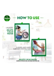 Dettol Anti-Bacterial Personal Care Antiseptic 500ml