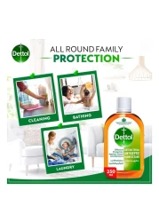 Dettol Anti-Bacterial Antiseptic Disinfectant 250ml