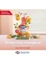 Clorox Scentiva Multi-Surface Cleaner Madagascar Citrus Grove 500ml Pack of 2