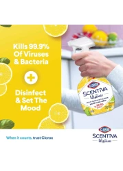 Clorox Scentiva Multi Surface Spray Cleaner Madagascar Citrus Grove 500ml