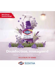 Clorox Scentiva Multi-Surface Cleaner Tuscan Lavender 500ml Pack of 2