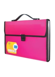 Foldermate Expanding File with Handle A4 13 Pockets