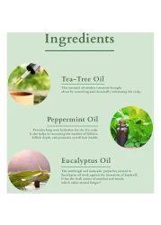 لوتس أورغانيكس شامبو للعناية المكثفة بفروة رأس بزيت زنجبيل بني 210 ملل