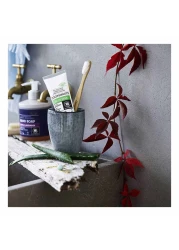 أرتكرام معجون أسنان خال من الفلوريد بالألو فيرا أبيض 75 ملل