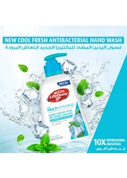 Lifebuoy Hand Wash Cool Fresh 500ml