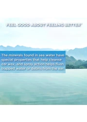 Similasan Searinse Ear Spray for Ear Cleaning and Ear Wax 33 Fl Oz