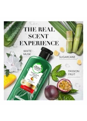 Herbal Essences Color Protect Sulfate Free Potent Aloe Vera + Mango Natural Conditioner 400ml