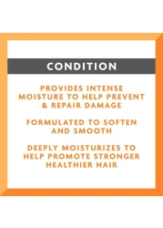 كانتو بلسم الشعر للرجال بزبدة الشيا يترك على الشعر أبيض 370 غرام