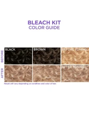 SoftSheenCarson Interbeauty Dark and Lovely Uplift Bleaching Kit with Powder Developer and Toner for Blonde Hair