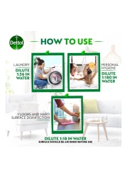 Dettol Antibacterial Antiseptic Disinfectant 2L+1L