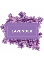 مستر ماسل سائل منظف الأرضيات متعدد الاستعمالات برائحة اللافندر 1 لتر