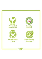 Pure Harvest Crispy Green Lettuce 125g