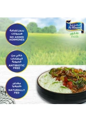 Al Khazna Fresh Chicken Breast Strips 500g