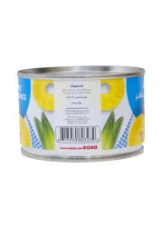 Al Alali Sliced Pineapple In Heavy Syrup 234g Pack of 6
