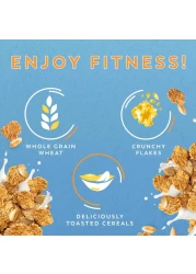 نستله فتنس مورنينج بوست حبوب 375 غرام