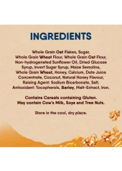 نستله فيتنس حبوب الشوفان جرانولا بالعسل، 450 غرام