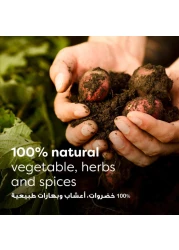 Knorr Stock Cubes Chicken Broth 20g 24 cubes