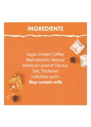 Nescafe Ice Salted Caramel, 25g