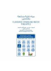 Oasis Blu No-Sugar Pineapple Flavoured Sparkling Water 500ml Pack of 6