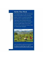 تراديشيونال ميديسينالز العضوية نايتي نايت 16 كيس شاي