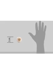 Ripe Organic Garlic 250g