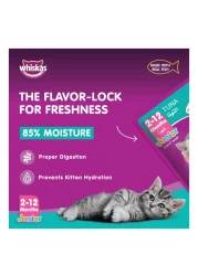 ويسكاس جونيور طعام قطط صغيرة رطب من التونة 80 غرام حزمة من 4