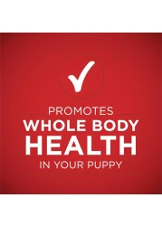 بورينا وان بلس كلاسيك، طعام كلاب صحي مفروم، لحم ضأن وأرز طويل الحبة، 368 غرام