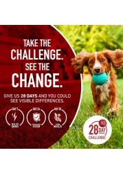 Purina ONE Small Bites Beef &amp; Rice Formula, Dog Food 3.63kg