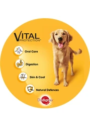 Pedigree Vital Protection Beef and Vegetables Flavour Dry Food for Adult Dog, 3kg