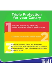 Trill Complete Canary Seed Bird Food, 500g