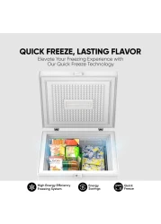 نيكاي فريزر أفقي سعة 150 لتر NCF150N - ابيض