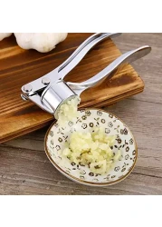 Stainless Ginger and Garlic Crusher, Garlic Chopper, Ginger Mincer, Ginger Squeezer Masher - Rustproof