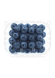 Blueberry Prepack