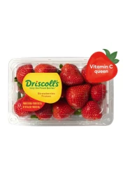 دريسكولز فراولة 454 غرام