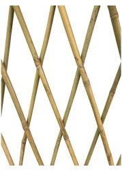 Egardenkart® Trellis Bamboo Plant Climbers (1, 90cm)